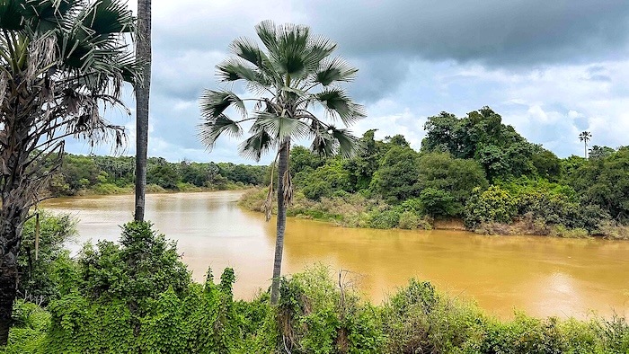 Grande nuit du conte