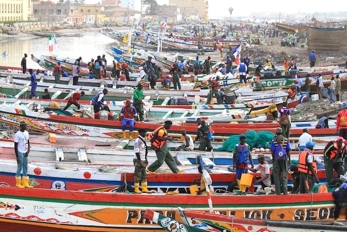 3 510647533 24125903530339036 195784253547123948 n