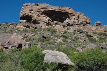 3le berceau de lhumanite un voyage dans le pleistocene sud africain