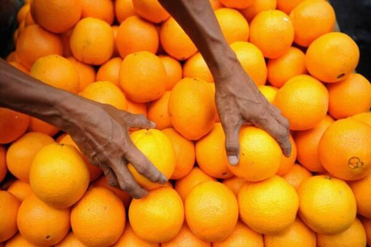 &Aacute;frica do Sul: Recorde de 3 milh&otilde;es de toneladas de c&iacute;tricos exportados em 2025