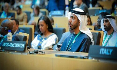 Energia verde: os EAU anunciam 4,5 bilh&otilde;es de d&oacute;lares para mais de 60 projetos na &Aacute;frica.