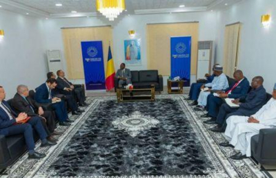 depois-do-niger-a-argelia-avanca-com-um-projeto-de-central-eletrica-no-chade
