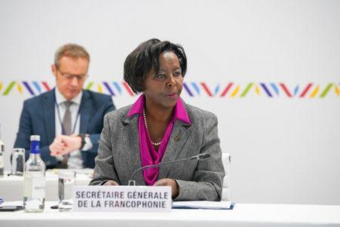 Francofonia africana: um potencial econ&oacute;mico ainda subexplorado