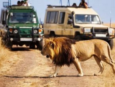 no-quenia-2025-foi-um-ano-recorde-para-as-receitas-do-turismo