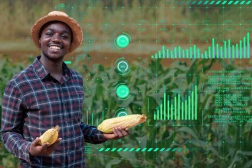 Como tornar-se analista de dados AgriTech, uma profiss&atilde;o estrat&eacute;gica na era digital