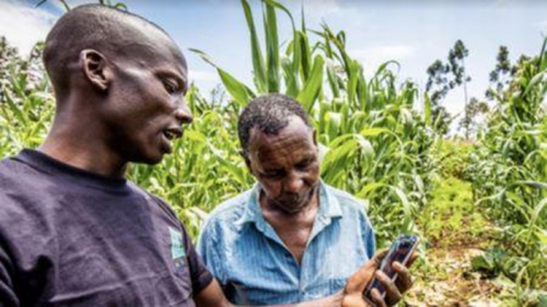Apollo Agriculture r&eacute;alise la premi&egrave;re titrisation priv&eacute;e ax&eacute;e sur l&rsquo;agriculture au Kenya.