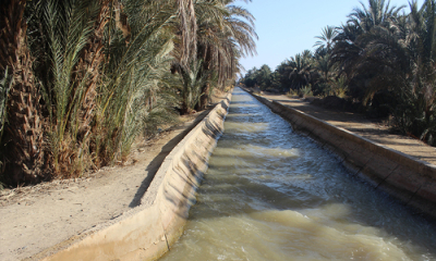 marrocos-japao-libera-mais-de-340-milhoes-de-dolares-para-apoiar-a-irrigacao