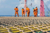Guin&eacute; Equatorial: Panoro Energy torna-se o principal parceiro do bloco offshore G