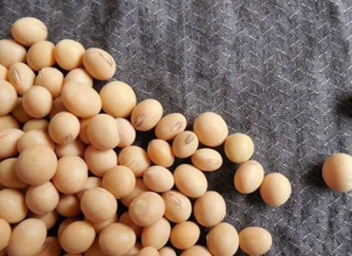 Soja: rumo a um novo recorde para as importa&ccedil;&otilde;es chinesas em 2025