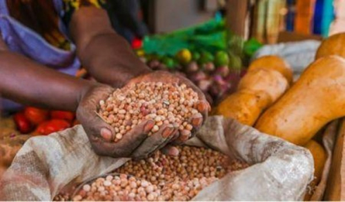 Scaf II, um fundo gerido pela Sahel Capital, fecha primeira ronda com objetivo de financiar empresas agroalimentares na &Aacute;frica Ocidental