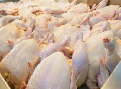 o-frango-brasileiro-ganha-terreno-em-africa-com-um-aumento-de-74-das-importacoes-em-cinco-anos