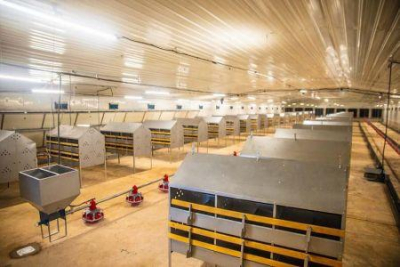 burkina-faso-uma-granja-avicola-de-1-milhao-de-dolares-entra-em-operacao-em-bobo-dioulasso