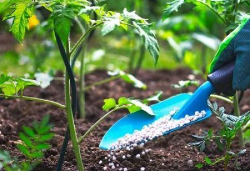Pre&ccedil;os dos fertilizantes dever&atilde;o subir mais de 30% em 2026 (Banco Mundial)