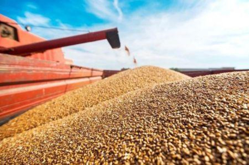 importacoes-de-produtos-agricolas-franceses-a-africa-subsaariana-ultrapassa-a-africa-do-norte-em-2025