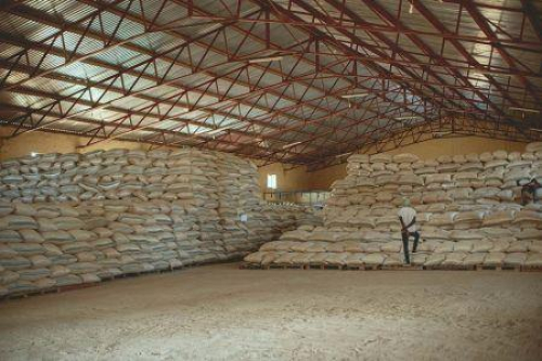 Costa do Marfim: um projeto de 90 milh&otilde;es de d&oacute;lares lan&ccedil;ado para reduzir as perdas p&oacute;s-colheita