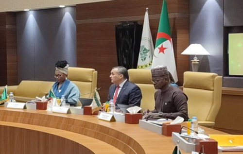 Declara&ccedil;&atilde;o de Argel: &Aacute;frica esbo&ccedil;a uma regula&ccedil;&atilde;o comum para Facebook, X, TikTok, Spotify, Netflix&hellip;