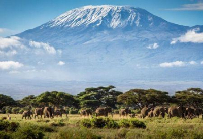 turismo-na-africa-oriental-o-quenia-consolida-a-sua-lideranca-face-a-tanzania-em-2025