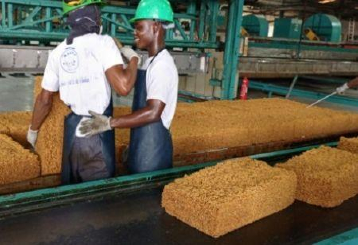Com a sua borracha natural, a Costa do Marfim pode tornar-se um ator chave na ind&uacute;stria de pneus em &Aacute;frica.