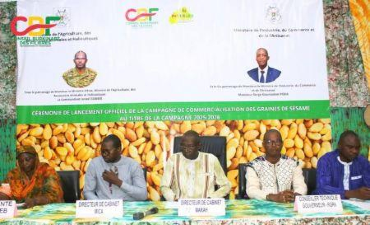 Burkina Faso: Redu&ccedil;&atilde;o de 14% no pre&ccedil;o m&iacute;nimo do quilograma de gergelim em 2025/2026
