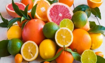 africa-do-sul-setor-de-citrinos-pretende-novo-recorde-de-exportacoes-em-2026-mas-enfrenta-desafios-geopoliticos-e-logisticos