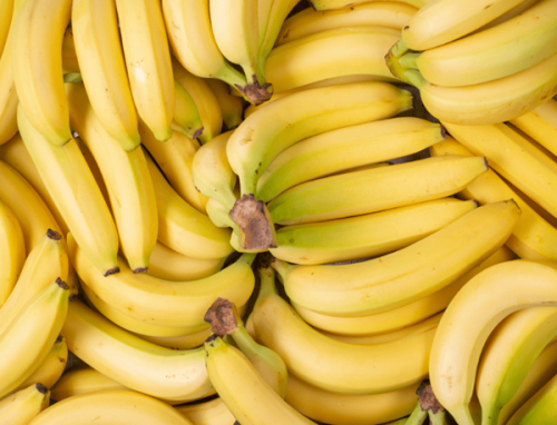 A Tanz&acirc;nia aposta na banana para refor&ccedil;ar as suas exporta&ccedil;&otilde;es agr&iacute;colas para a R&uacute;ssia