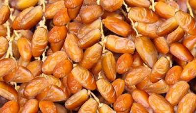 tunisia-a-fileira-das-tamaras-antecipa-um-recorde-de-producao-para-a-campanha-de-2025-2026