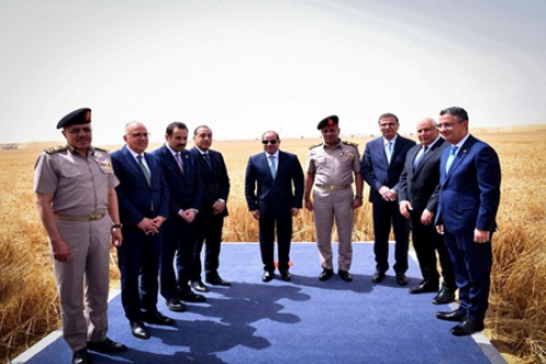 egito-expande-agricultura-no-deserto-com-projeto-de-15-mil-milhoes-de-dolares