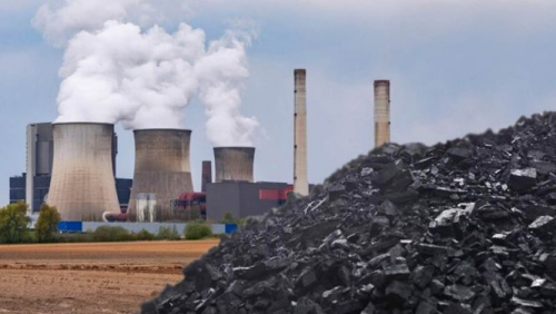 Carv&atilde;o: a procura mundial continua a aumentar apesar da press&atilde;o clim&aacute;tica