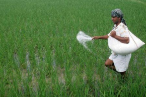 Engrais : a &Iacute;ndia volta-se para &Aacute;frica para diversificar o seu fornecimento