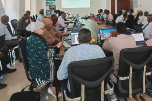 Djibouti: inspetores formados em IA para modernizar a educa&ccedil;&atilde;o nacional