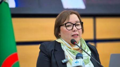 a-argelia-lanca-um-programa-nacional-para-formar-jovens-para-profissoes-chave
