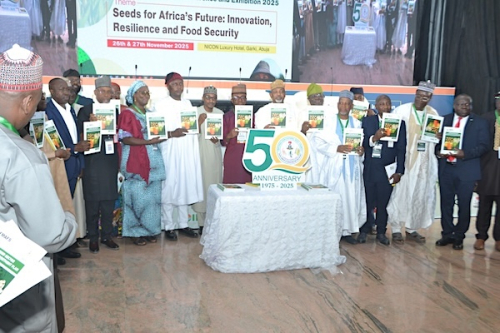 Nigéria implementa nova estratégia de sementes para acelerar a produtividade agrícola