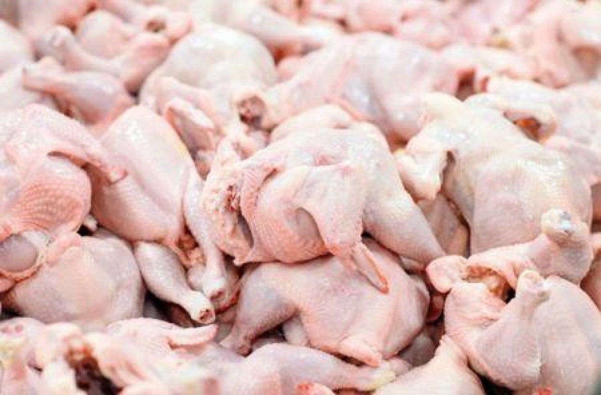 As importa&ccedil;&otilde;es africanas de carne de aves russa mais que duplicaram em 2025