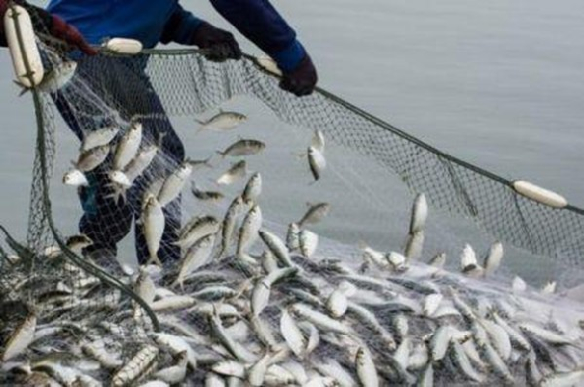 Tanz&acirc;nia: um projeto de cinco anos no valor de 117 milh&otilde;es de d&oacute;lares para impulsionar o setor das pescas