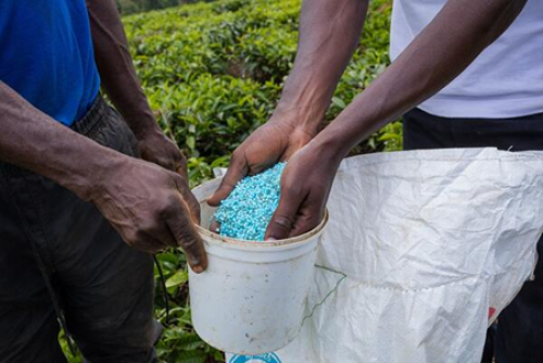 Depois do petr&oacute;leo, o espectro de uma crise mundial dos fertilizantes em Ormuz