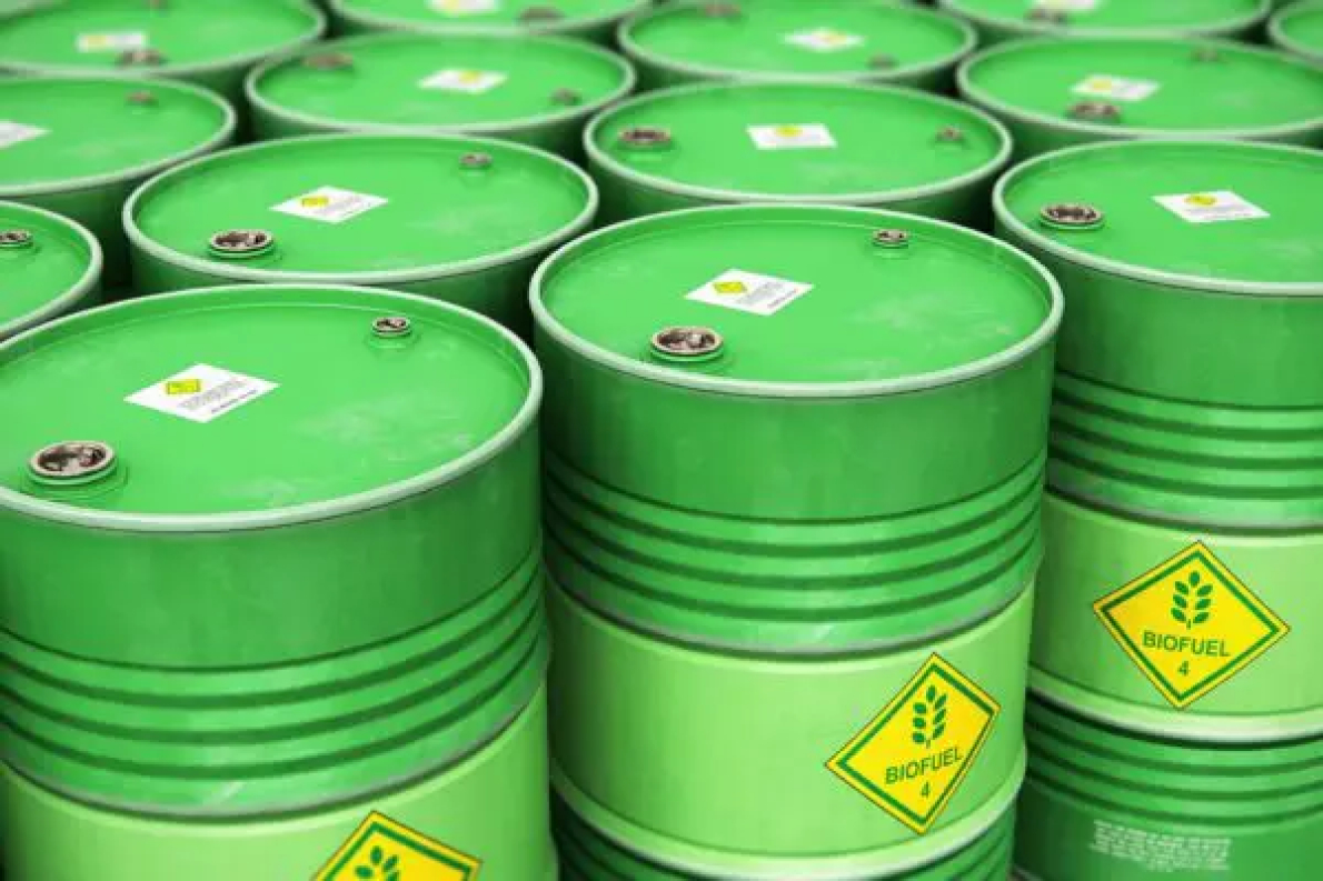 &Aacute;frica do Sul: a indiana UPL Limited planeia investir 1 mil milh&atilde;o de d&oacute;lares no bioetanol