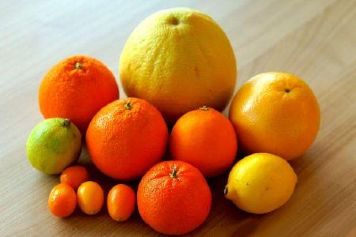 Citrinos: Egito diversifica exporta&ccedil;&otilde;es para a Rep&uacute;blica Dominicana