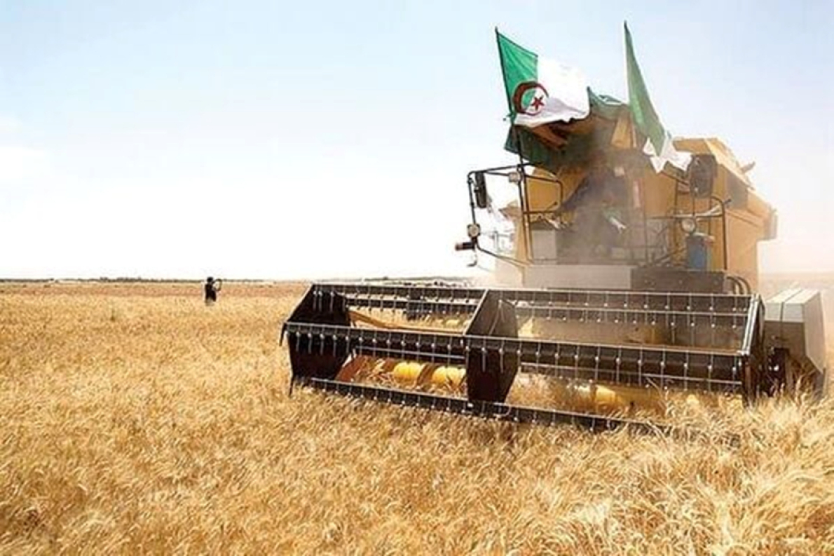 Arg&eacute;lia: Or&ccedil;amento de US$ 6 bilh&otilde;es para modernizar a agricultura em 2026 (+4%)