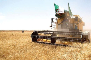 Arg&eacute;lia: Or&ccedil;amento de US$ 6 bilh&otilde;es para modernizar a agricultura em 2026 (+4%)