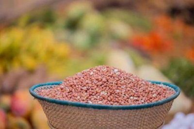 amendoim-o-senegal-suprime-a-taxa-de-exportacao-para-a-campanha-2025-2026