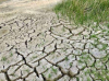 $600 bilh&otilde;es em perdas agr&iacute;colas em 30 anos: &Aacute;frica paga um alto pre&ccedil;o por choques clim&aacute;ticos