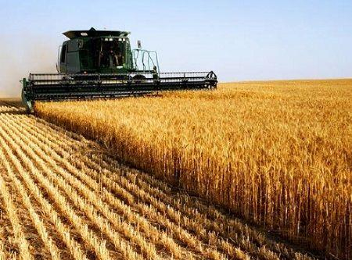 Marrocos aposta num crescimento de 15% no setor agr&iacute;cola em 2026