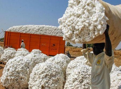 a-africa-forneceu-41-das-importacoes-de-algodao-do-bangladesh-em-2024-2025