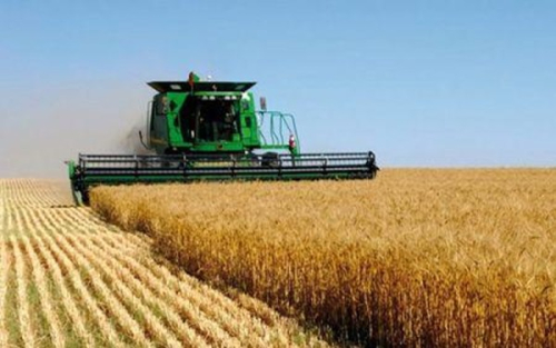 Marrocos: a produ&ccedil;&atilde;o de cereais prevista para atingir o melhor n&iacute;vel em 5 anos em 2025/2026