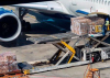 Carga a&eacute;rea: companhias africanas registam o maior crescimento mundial em janeiro de 2026