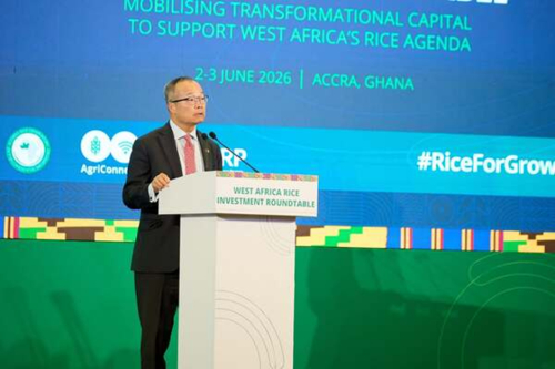 o-verdadeiro-desafio-no-arroz-na-africa-ocidental-nao-e-a-ausencia-de-solucoes-mas-sim-a-coordenacao-guangzhe-chen-grupo-do-banco-mundial