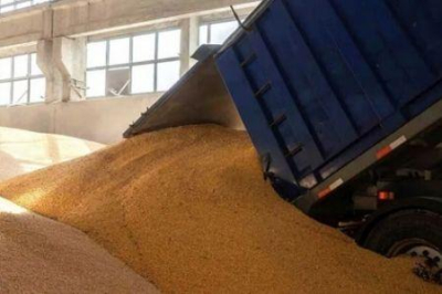 o-canada-quer-consolidar-a-sua-presenca-no-mercado-africano-do-trigo