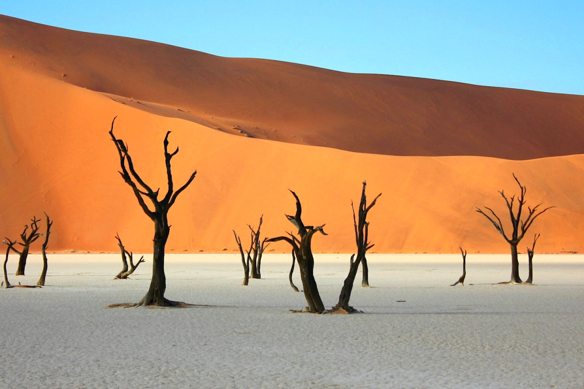 O Erg do Namibe &mdash; 55 milh&otilde;es de anos de forma&ccedil;&atilde;o