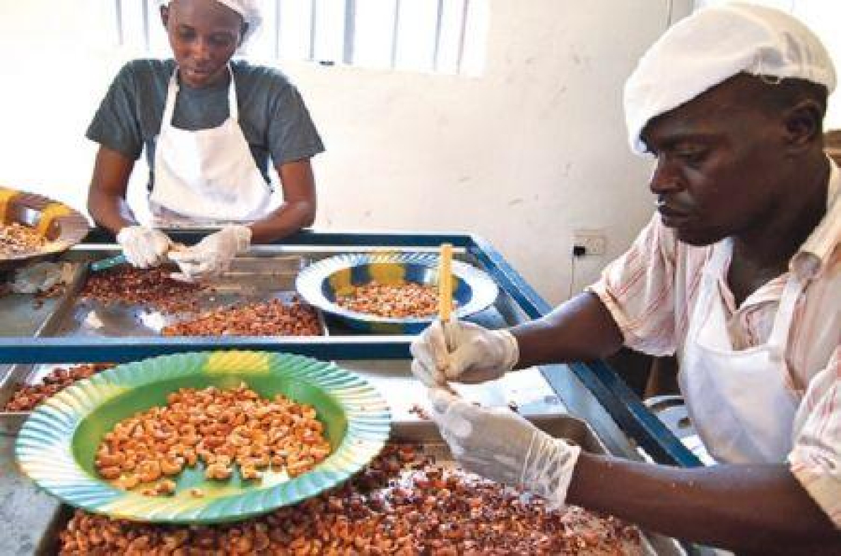 Nig&eacute;ria: a Robust International quer dobrar a sua capacidade de transforma&ccedil;&atilde;o de caju