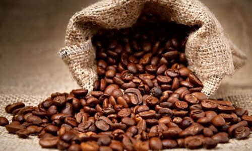 Ruanda: as exporta&ccedil;&otilde;es de caf&eacute; renderam $116 milh&otilde;es em 2024/2025, um recorde